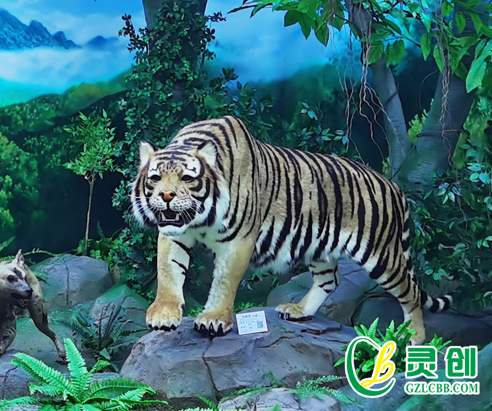 仿真華南虎標(biāo)本